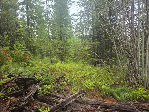 Tract 18 Nine Mile Road, Huson, MT 59846
