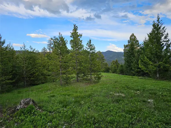 NHN Hematite Road, Gold Creek, MT 59733