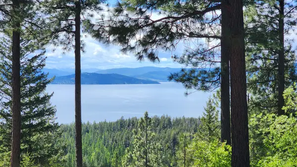 31683 Lake To Sky Drive, Bigfork, MT 59911
