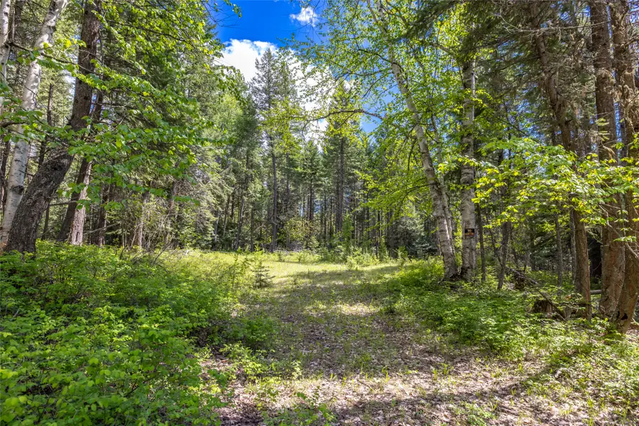 Nhn Red Hawk Drive, Bigfork, MT 59911 - #2