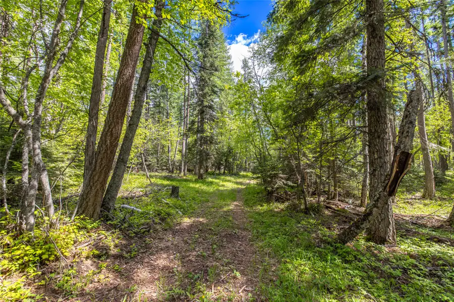 Nhn Red Hawk Drive, Bigfork, MT 59911 - #3