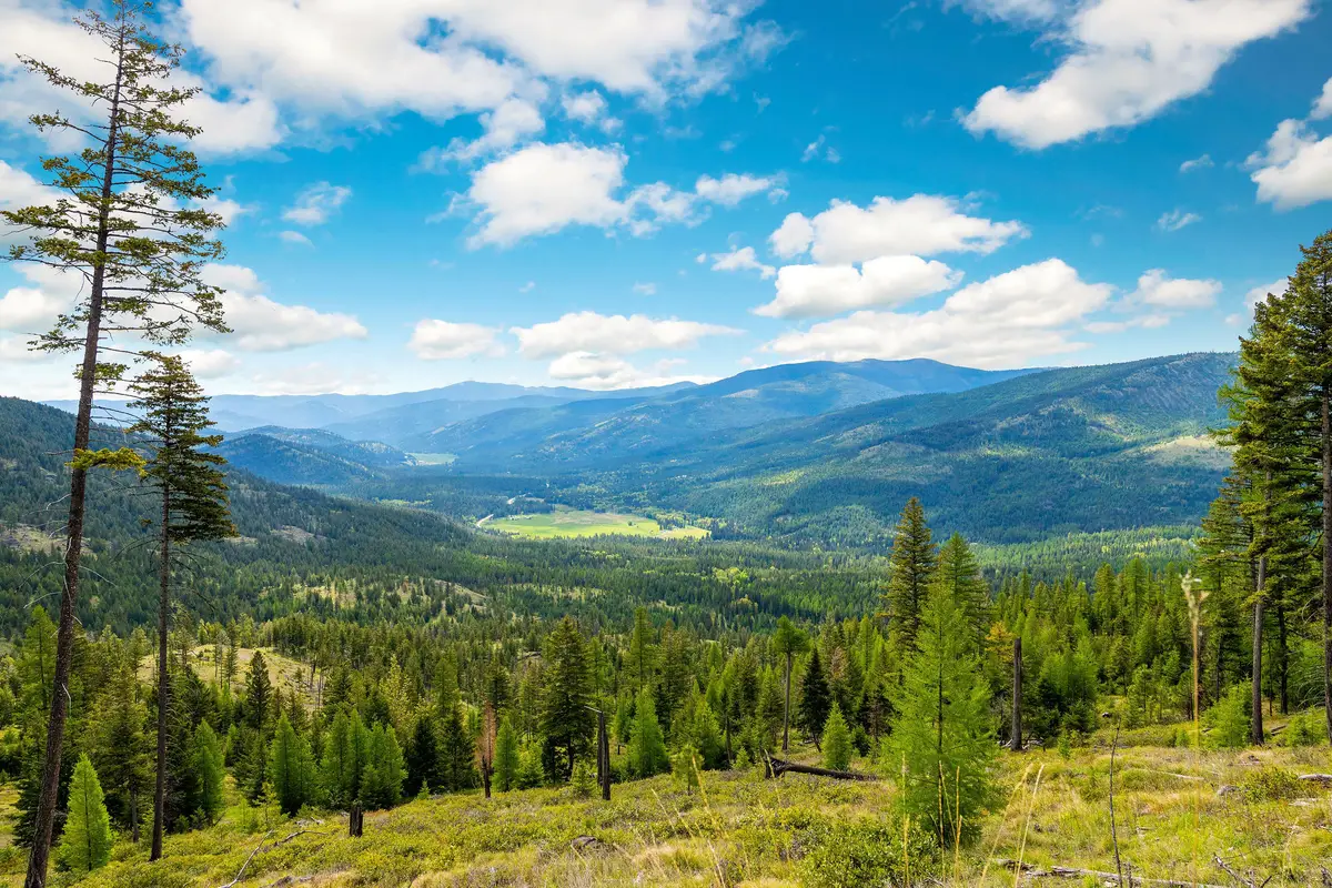 Nhn Idaho Hill Road, Marion, MT 59925 - #1