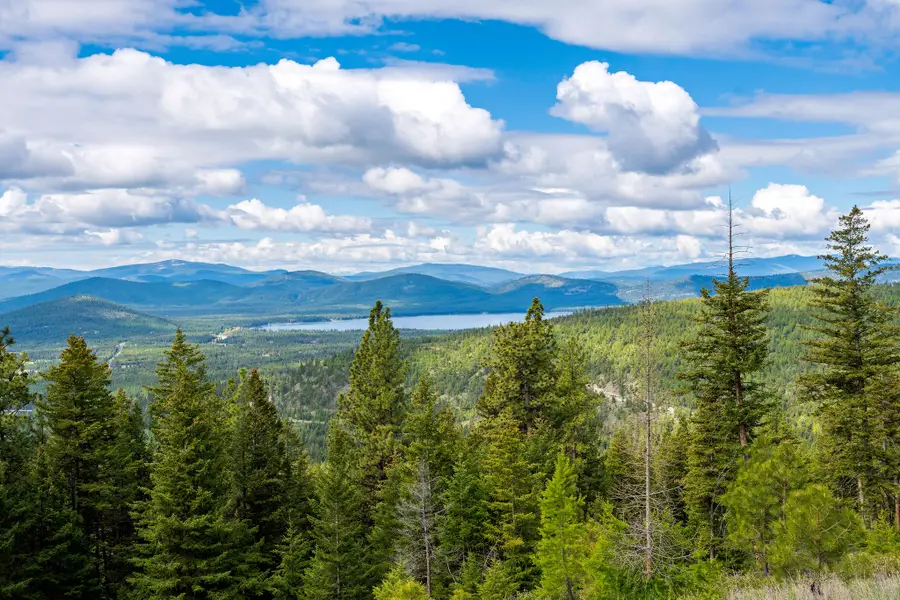 Nhn Idaho Hill Road, Marion, MT 59925 - #2