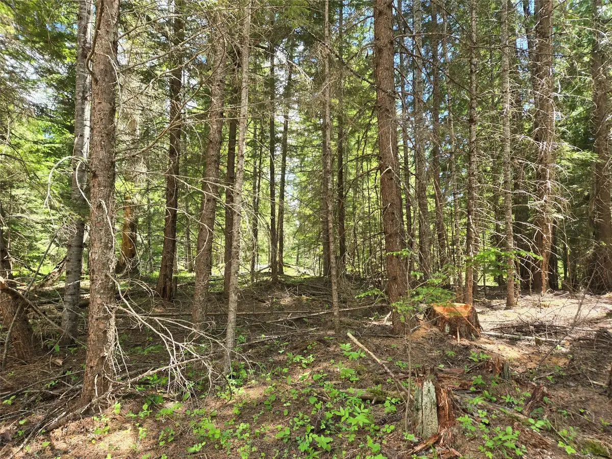 Lot A-4 Elk Heights Lane, Heron, MT 59844 - #1