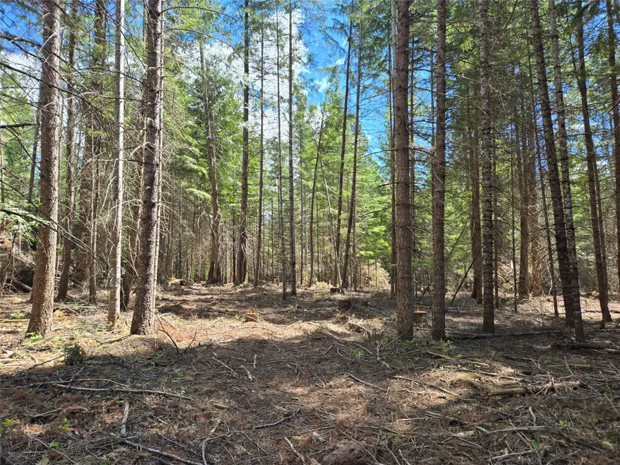 Lot A-4 Elk Heights Lane, Heron, MT 59844 - #2