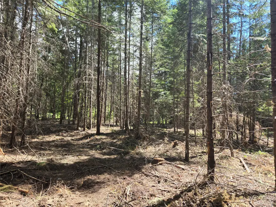 Lot A-4 Elk Heights Lane, Heron, MT 59844 - #3