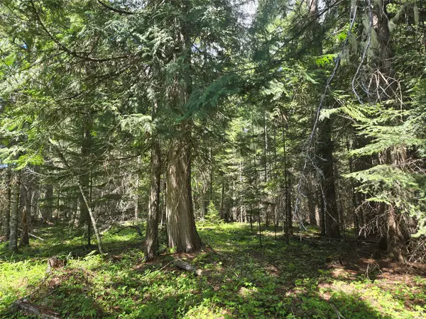 Lot A-1 Elk Heights Lane, Heron, MT 59844