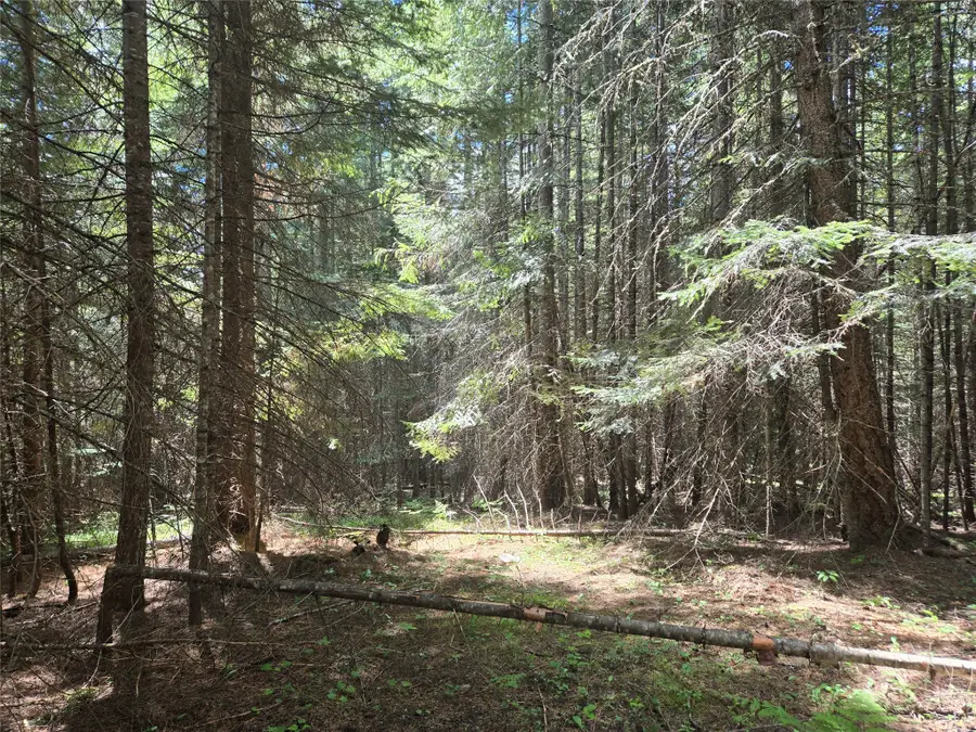 Lot A-2 Elk Heights Lane, Heron, MT 59844 - #2