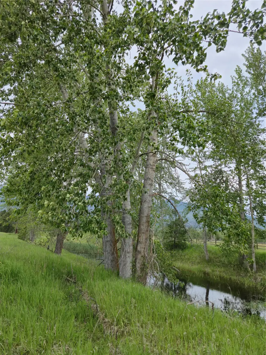 5616 Klements Lane, Florence, MT 59833 - #2