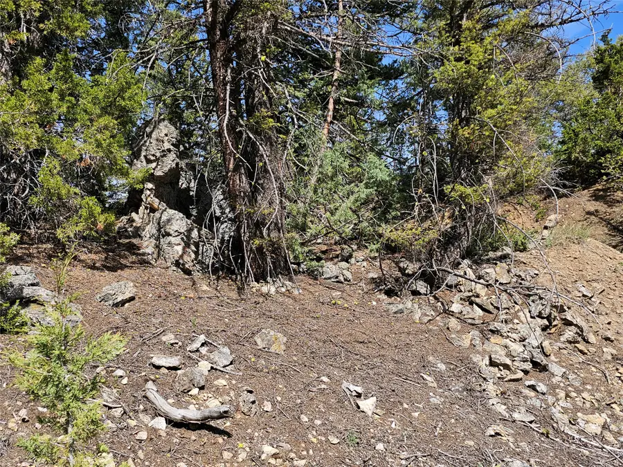 NHN Boarding House Flats Road, Philipsburg, MT 59858 - #3