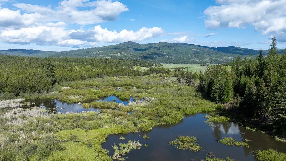 3180 Browns Meadow Road, Kila, MT 59920 - #1