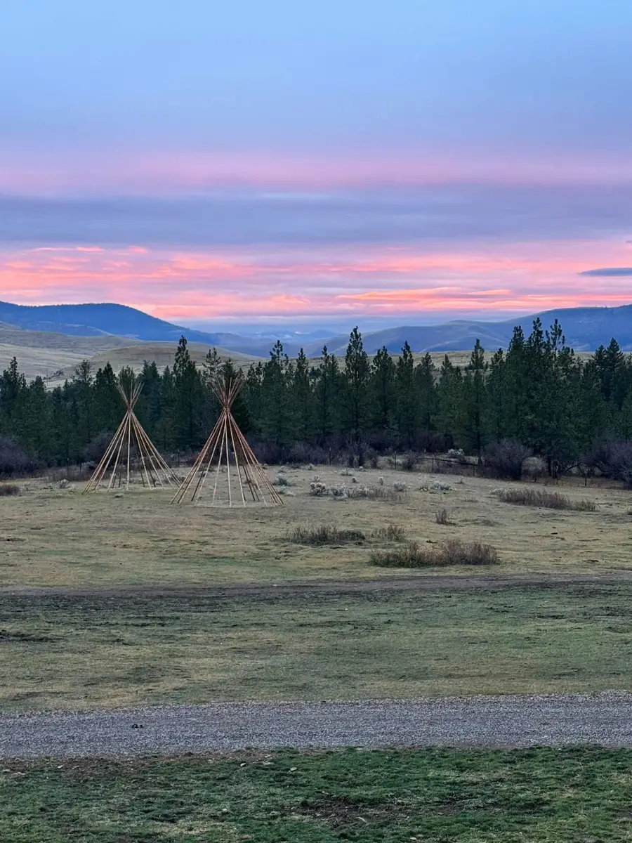 7000 Browns Meadow Road, Niarada, MT 59845 - #2