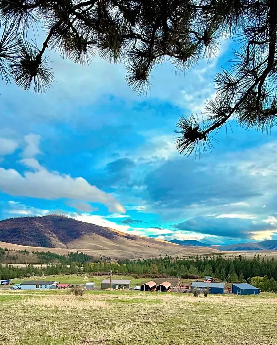 7000 Browns Meadow Road, Niarada, MT 59845 - #3