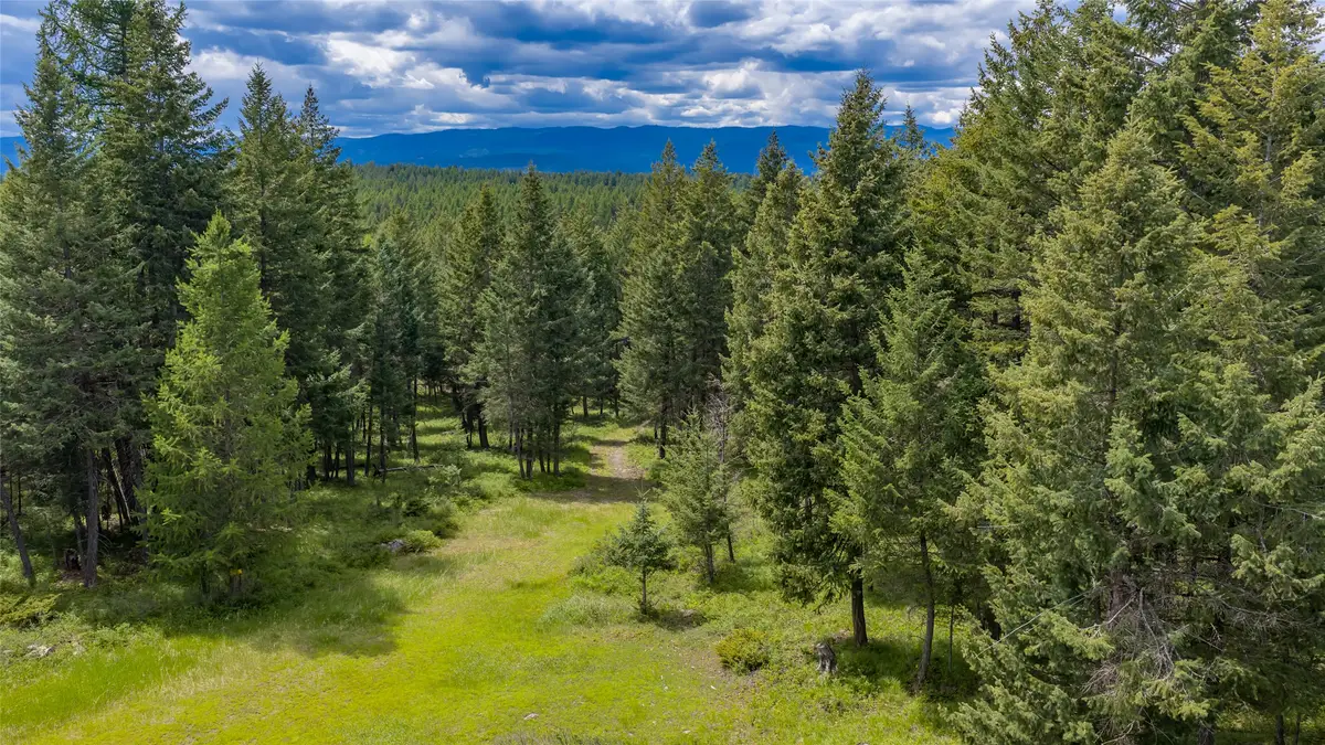 180 Squirrel Lane, Whitefish, MT 59937 - #1