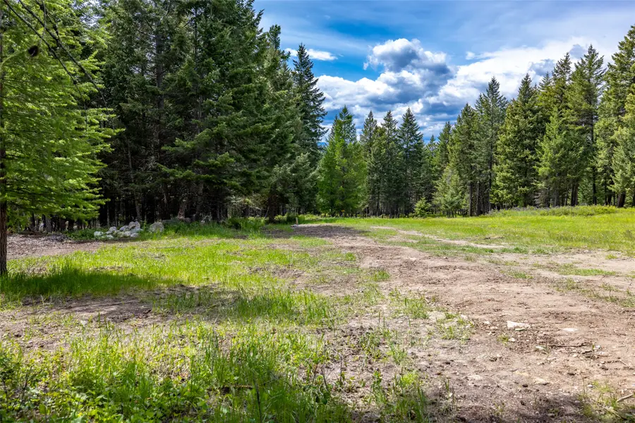 180 Squirrel Lane, Whitefish, MT 59937 - #2