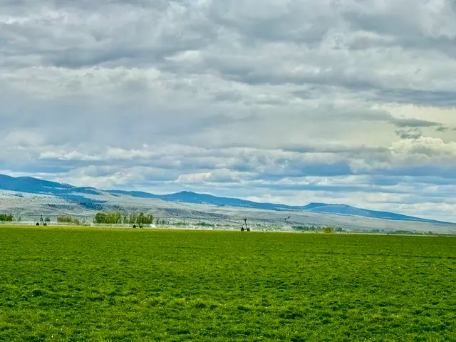 NHN Sager Lane W, Deer Lodge, MT 59722 - #2