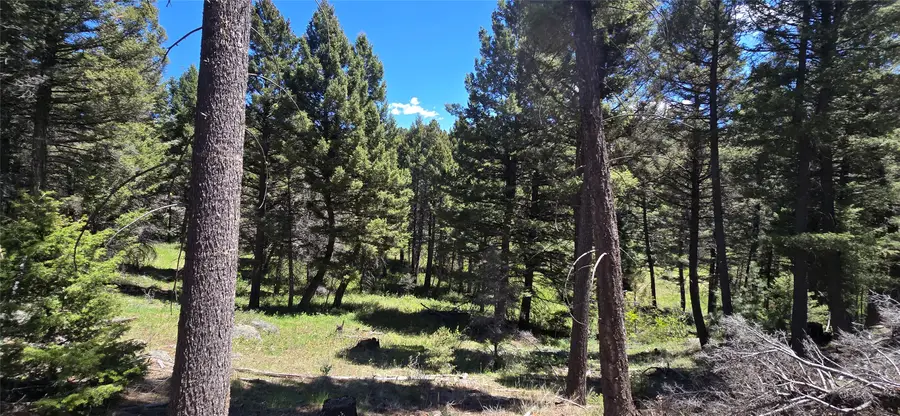 TBD Powerline Road, Boulder, MT 59632 - #2