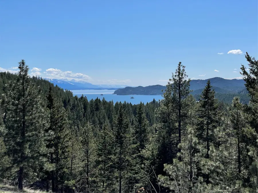 207 Angel Point Preserve, Lakeside, MT 59922 - #2