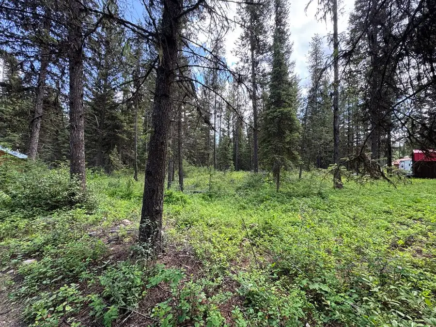 768 Deep Woods Trail, Polebridge, MT 59928 - #2