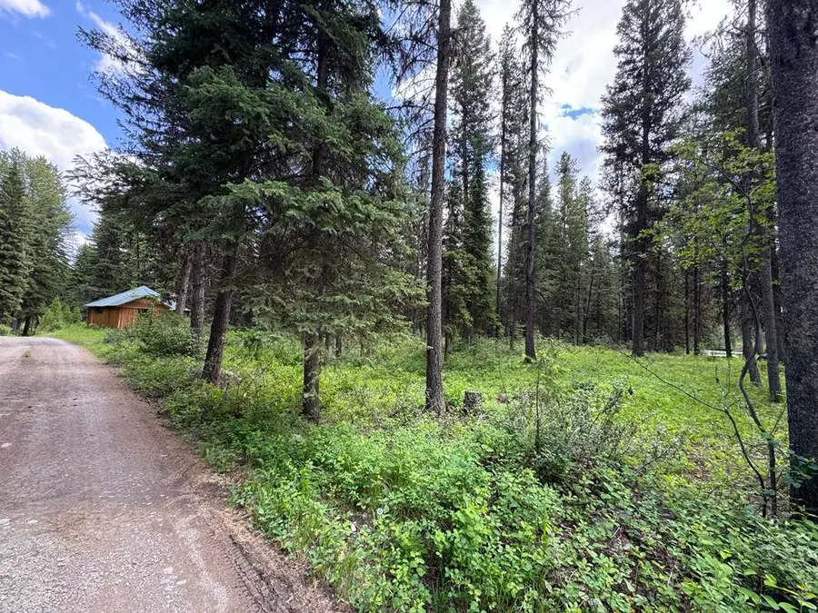 768 Deep Woods Trail, Polebridge, MT 59928 - #3