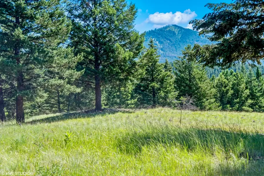 NHN Crystal Lakes Drive, Fortine, MT 59918 - #3