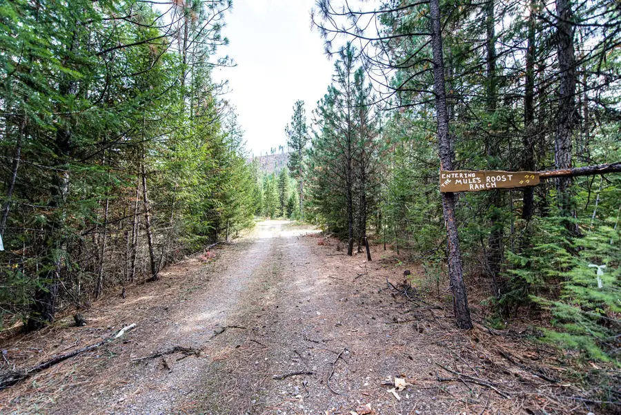 814 Quartz Road, Superior, MT 59872 - #3
