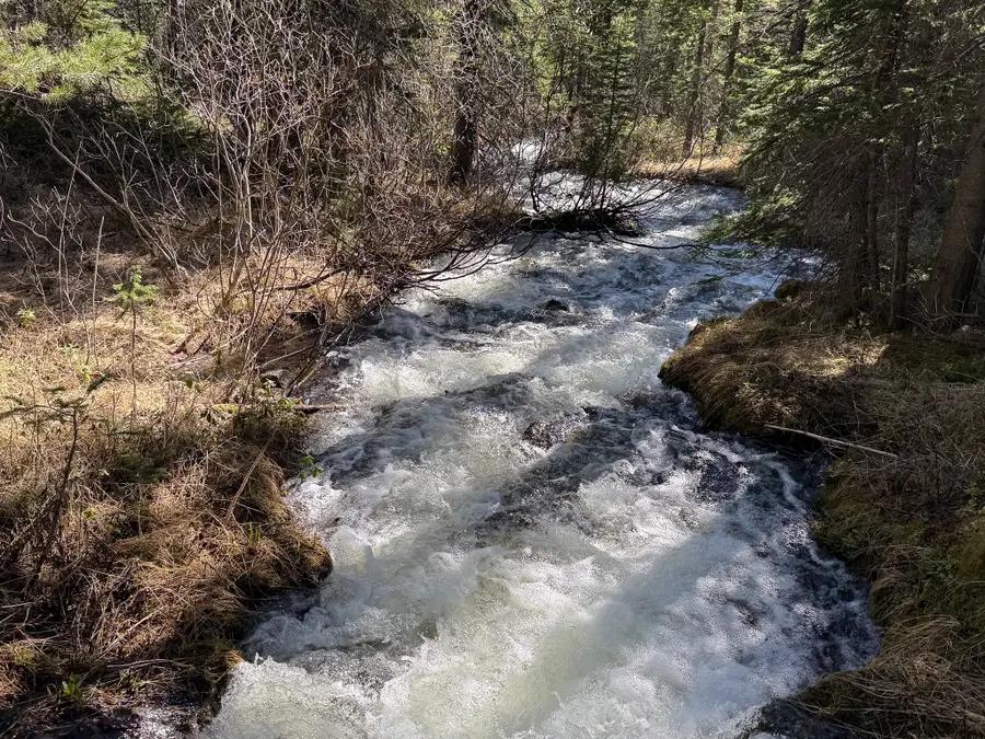 970 Lower Clear Creek Trail, Anaconda, MT 59711 - #3