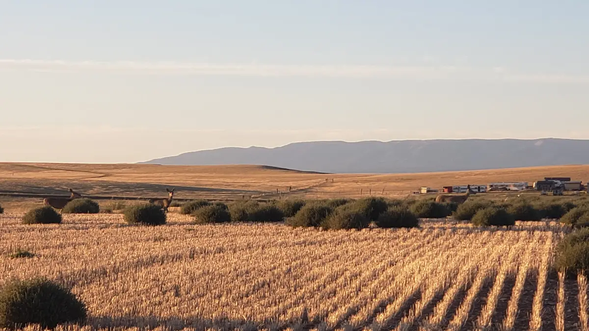 TBD Antelope Road, Shawmut, MT 59078 - #1