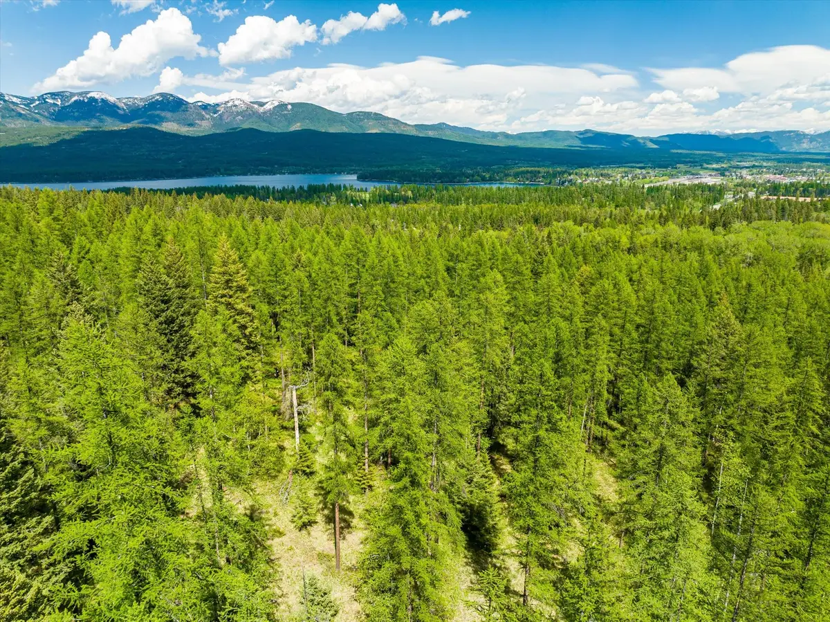 1340 Lion Mountain Drive, Whitefish, MT 59937 - #1