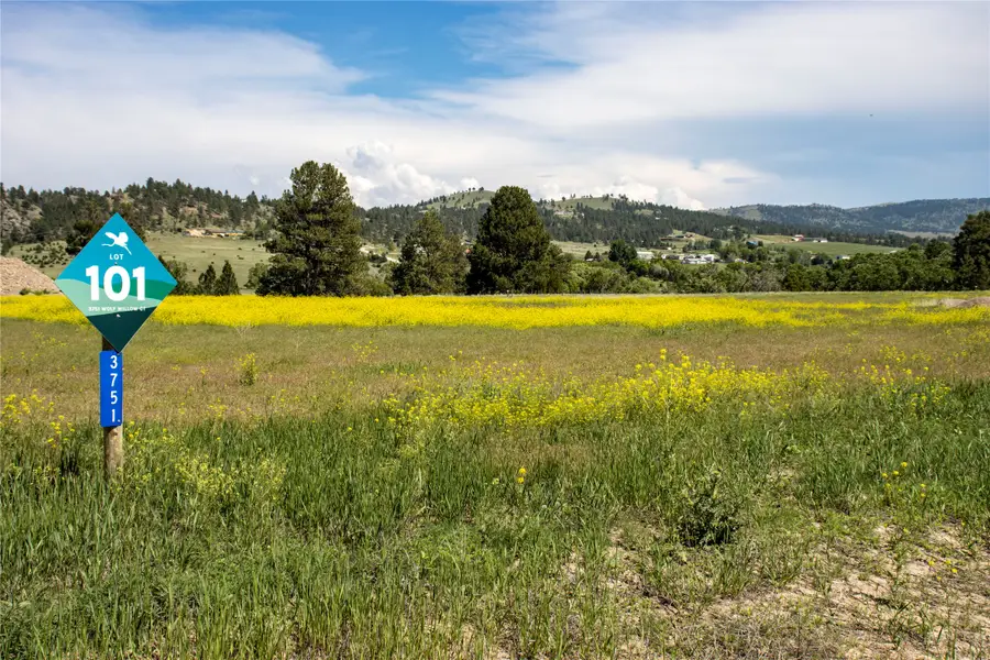 3751 Wolfwillow Court, Helena, MT 59602 - #3