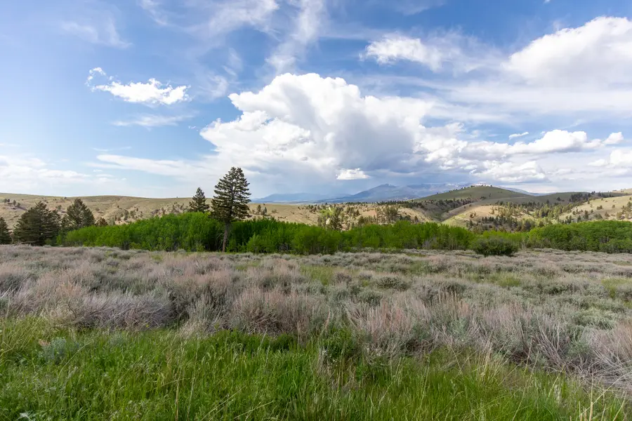 386 Ross Gulch Road, Townsend, MT 59644 - #3