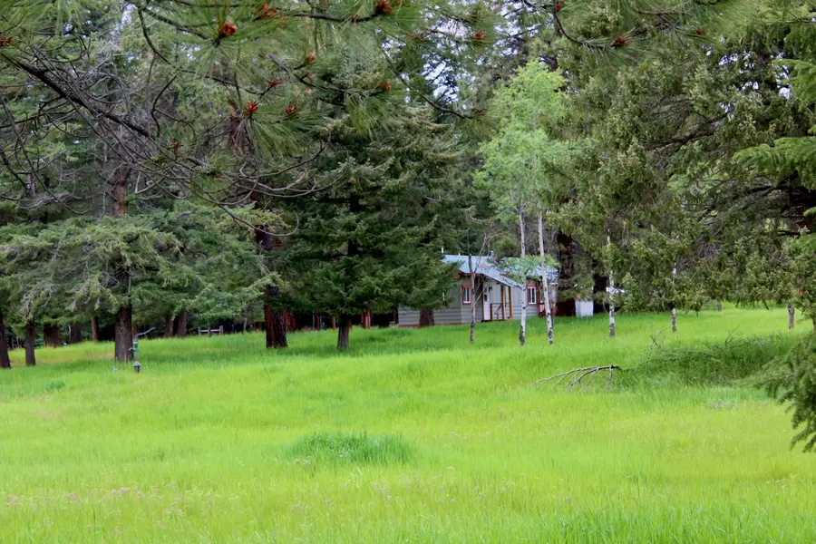 2397 Grave Creek Road, Eureka, MT 59917 - #3