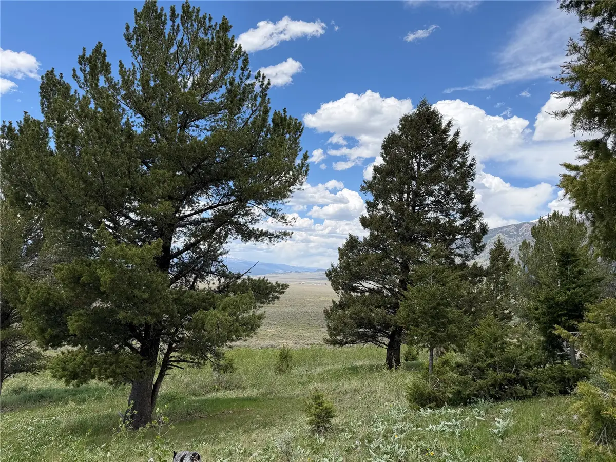 Lot 2 & 4A Continental Divide Road, Cameron, MT 59720 - #1