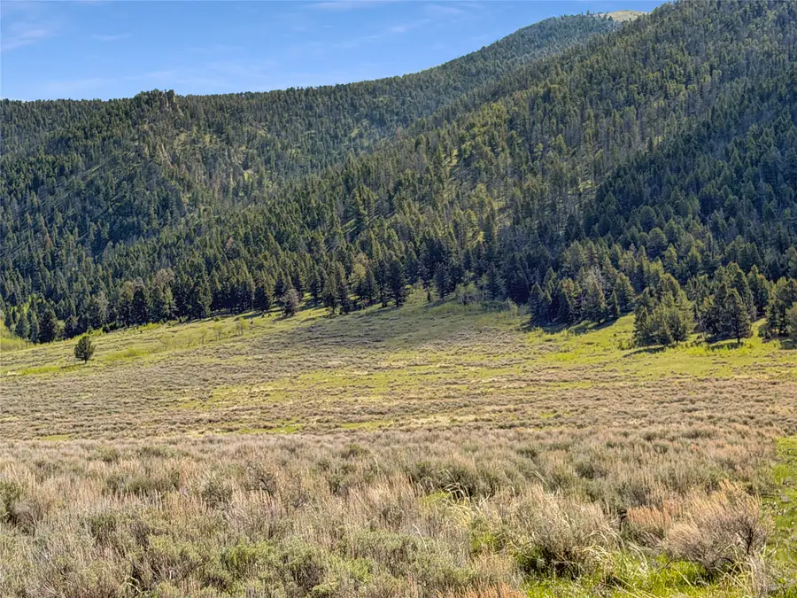 Lot 2 & 4A Continental Divide Road, Cameron, MT 59720 - #3