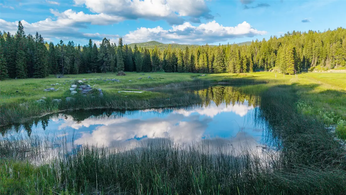 1451 Coon Hollow Road, Kila, MT 59920 - #1