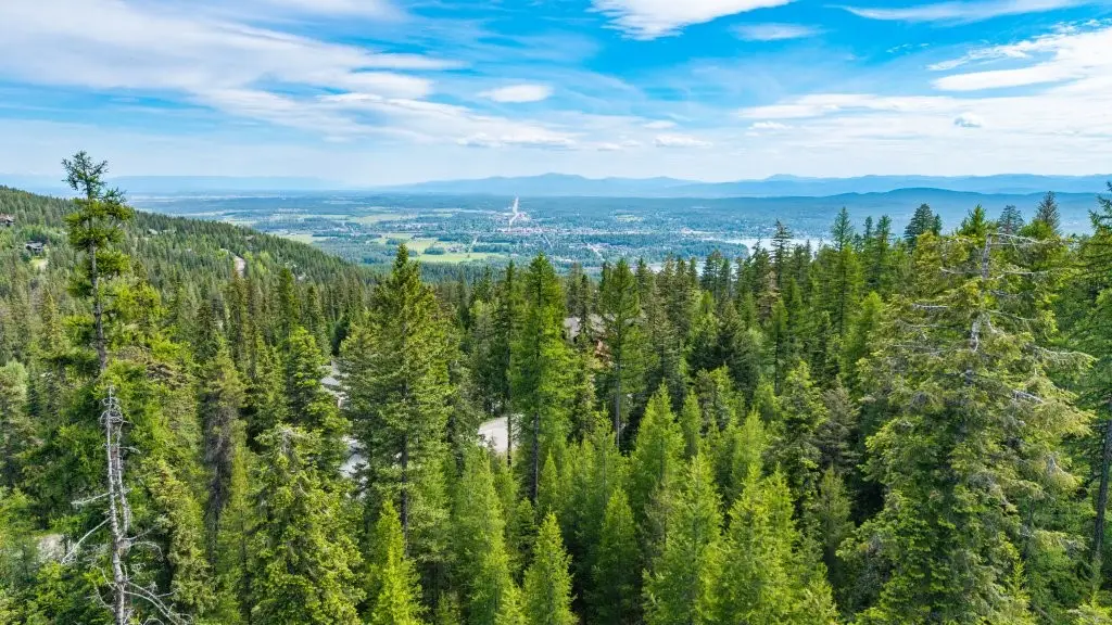 211 N Beargrass Circle, Whitefish, MT 59937 - #1