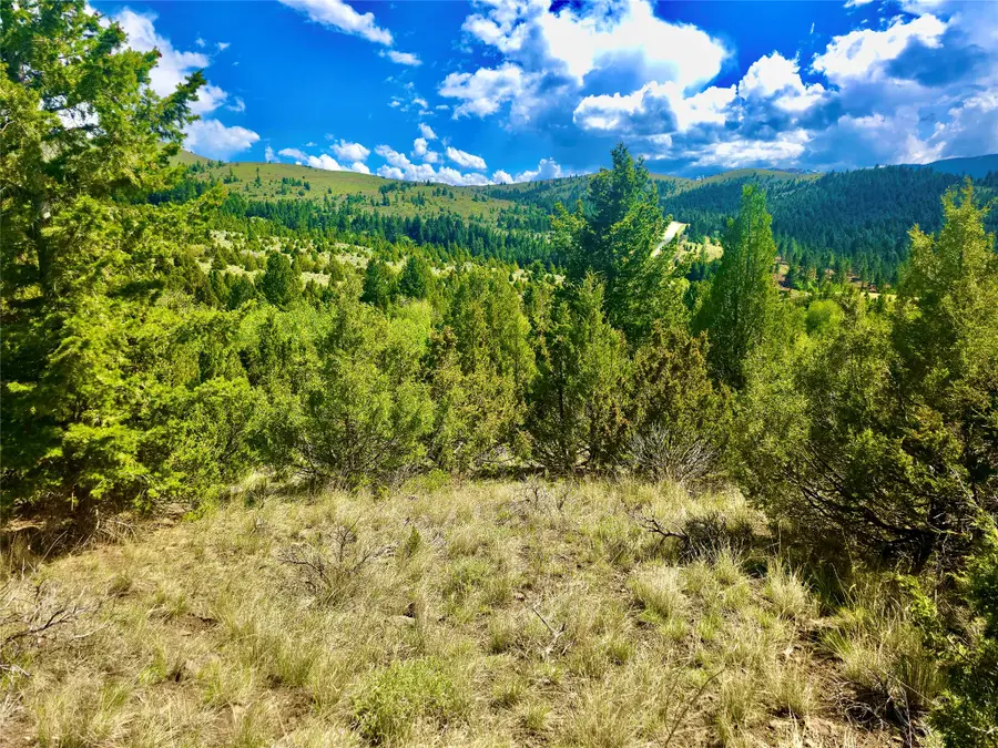 Block 172 Lots 1-12 Wallace Street, Virginia City, MT 59755 - #2