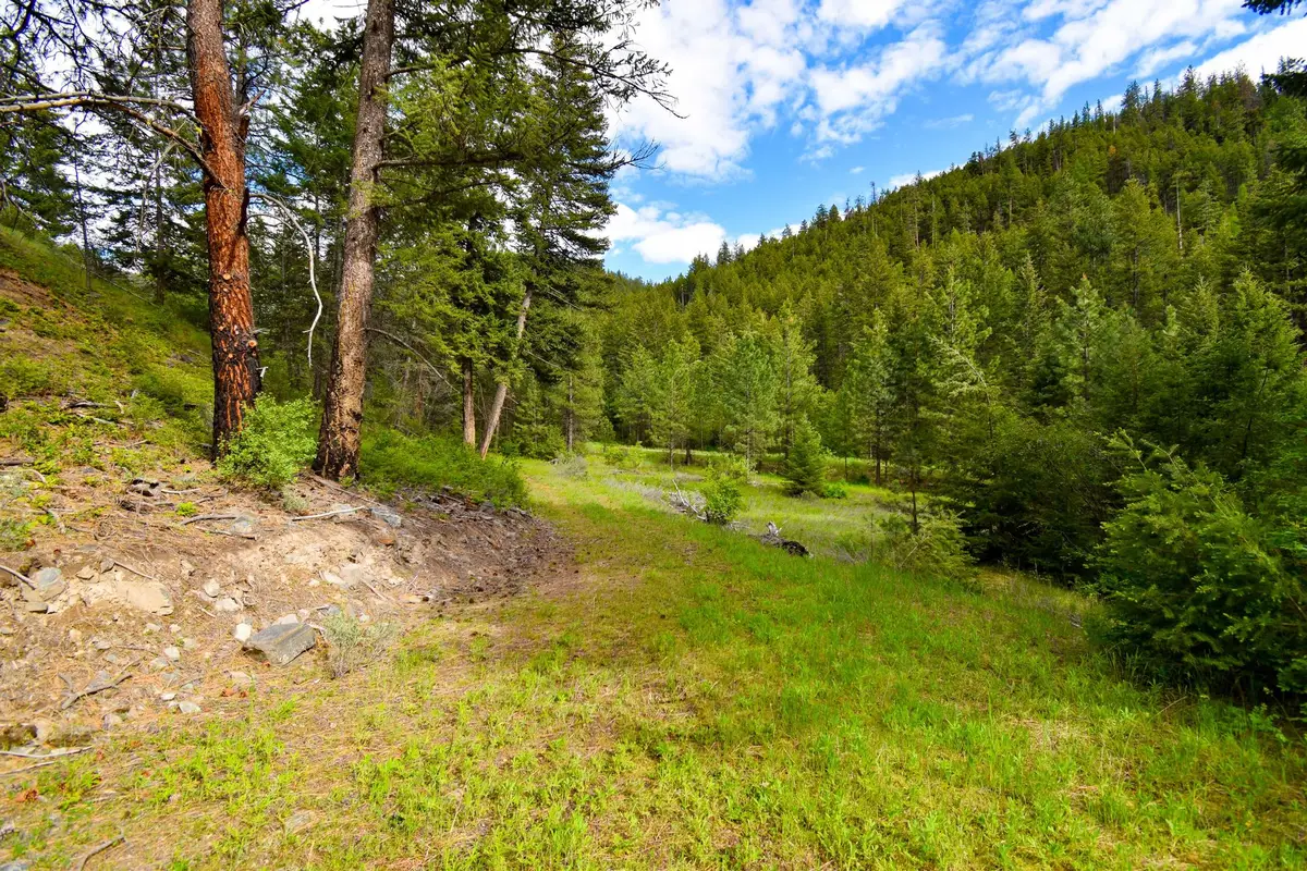 Tract 1 Henry Creek Road, Plains, MT 59859 - #1