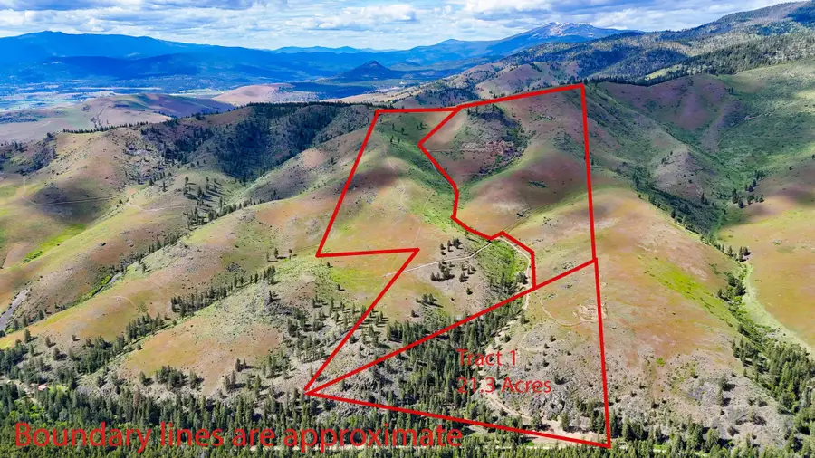Tract 1 Henry Creek Road, Plains, MT 59859 - #3