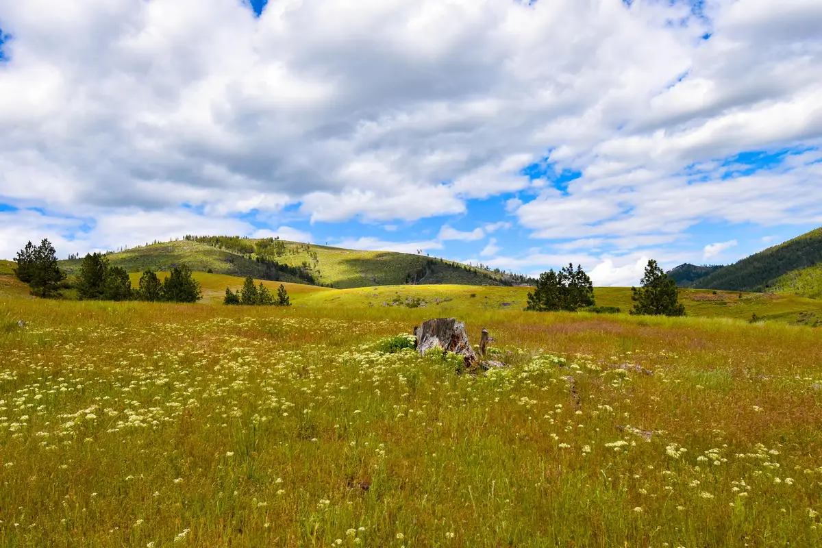 Tract 2 Henry Creek Road, Plains, MT 59859 - #1
