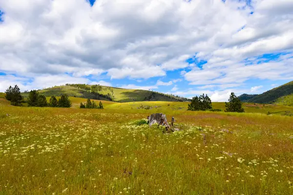Tract 2 Henry Creek Road, Plains, MT 59859