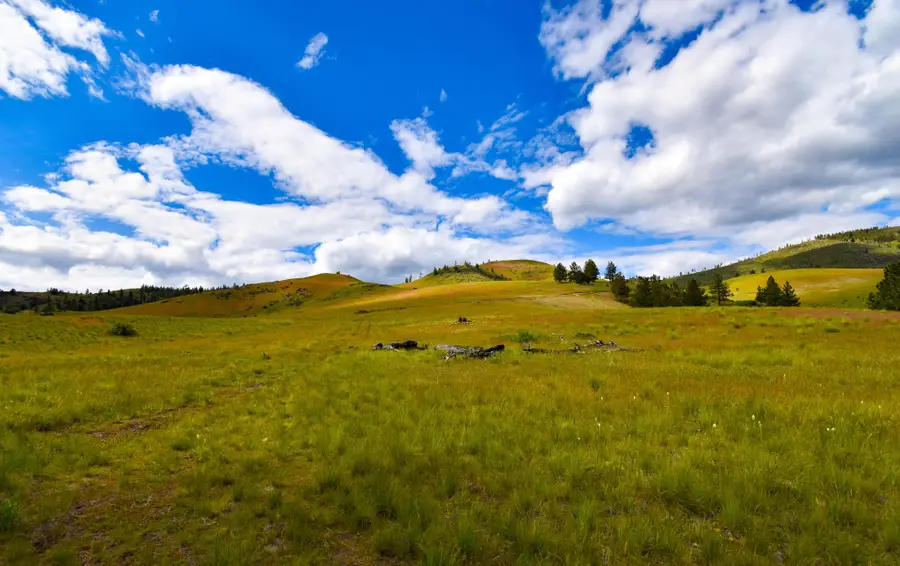 Tract 2 Henry Creek Road, Plains, MT 59859 - #3