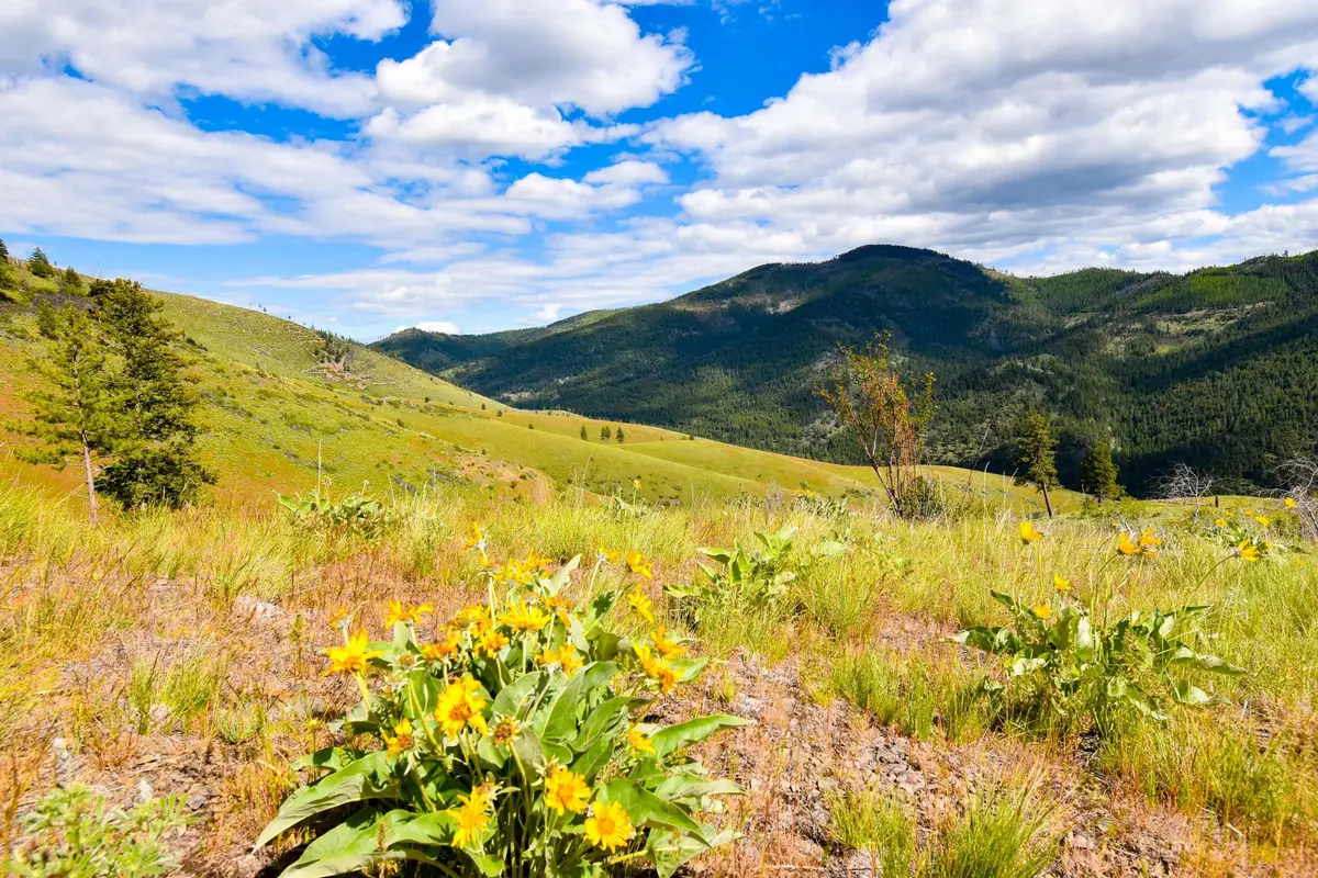 Tract 3 Henry Creek Road, Plains, MT 59859 - #1