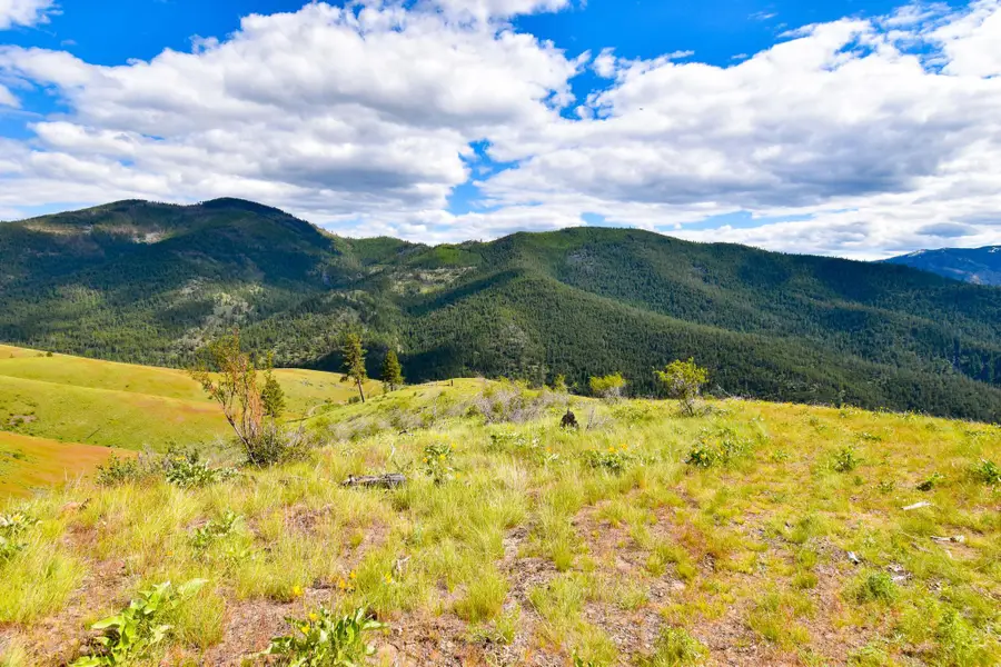 Tract 3 Henry Creek Road, Plains, MT 59859 - #2