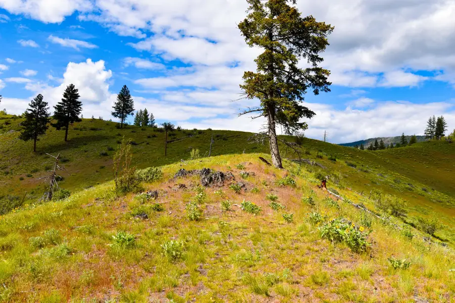 Tract 3 Henry Creek Road, Plains, MT 59859 - #3