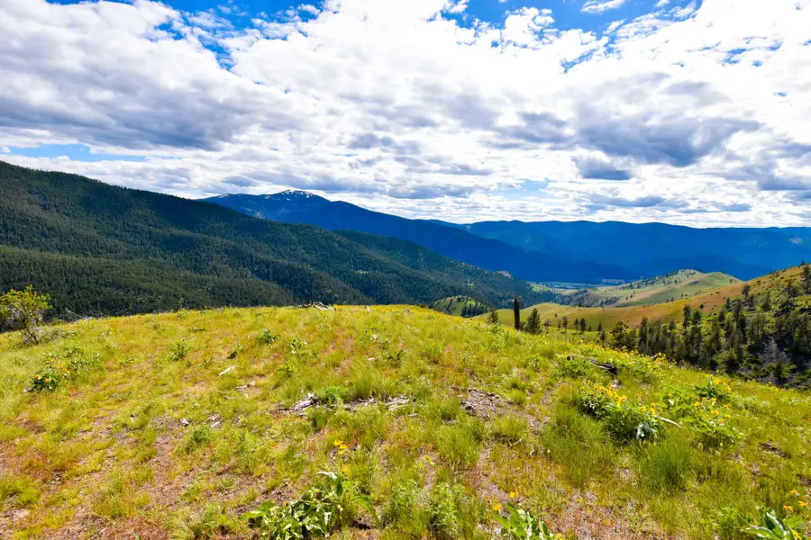 285 Henry Creek Road, Plains, MT 59859 - #3
