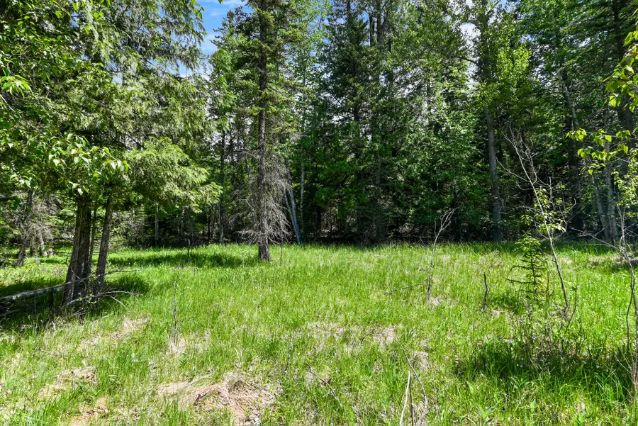 265 N Shooting Star Circle, Whitefish, MT 59937 - #3