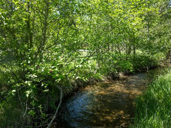 TBD Clancy Creek Road #A5, Clancy, MT 59634