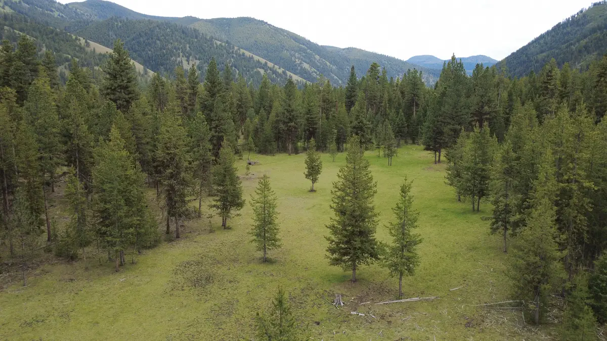 Tract A West Meadow Road, Darby, MT 59829 - #1