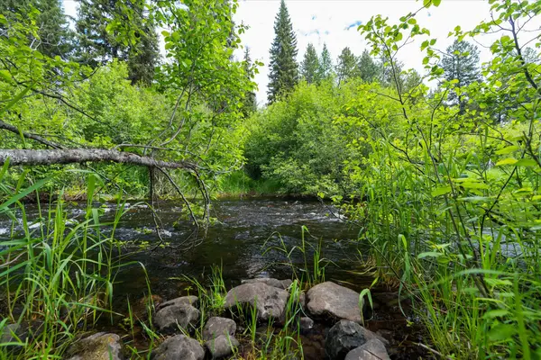 58 Loon Connector Road, Libby, MT 59923